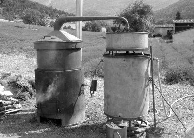 Photo en noir et blanc d'un alambic ancien devant un champ de lavande.