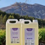 Huile essentielle de lavandin Grosso HVE - En bidon