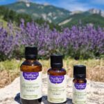 Huile essentielle de mélèze d'Europe Bio - Flacon codigoutte