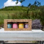 Coffret cadeau pots de miels BIO: 3 miels et 1 bonbon