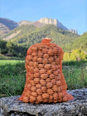 Noix en sac