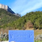 Savon à la lavande 65 g