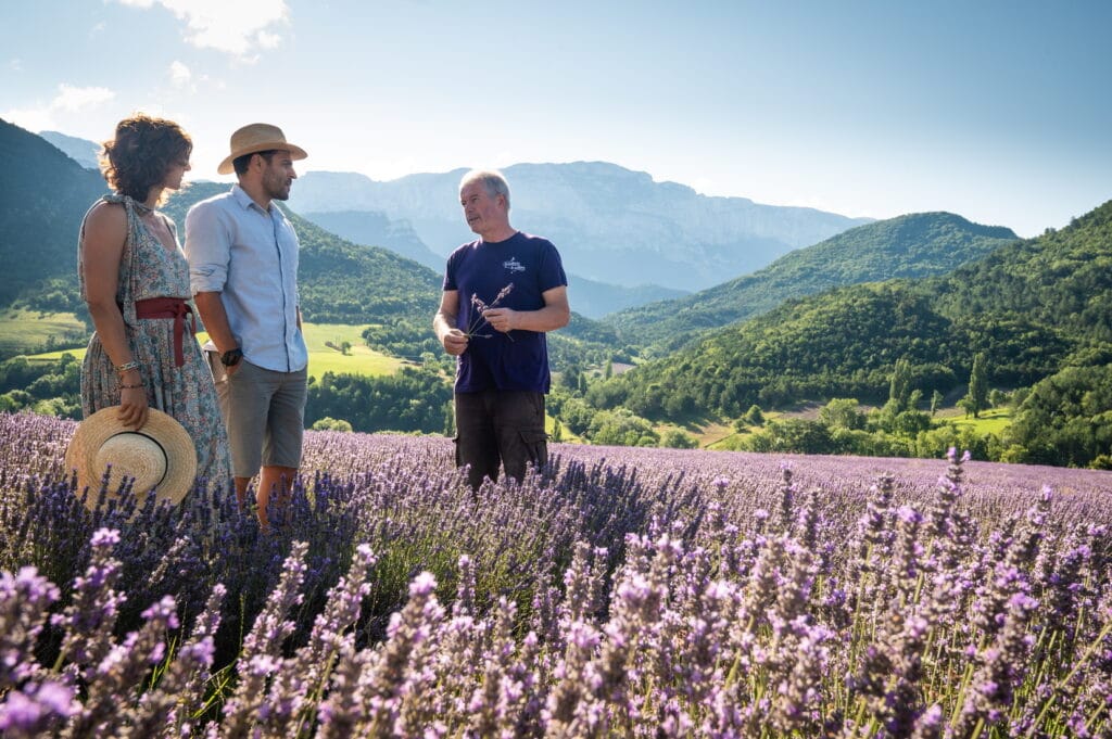 Randonnée dans les champs de lavande à Chamaloc, Drôme