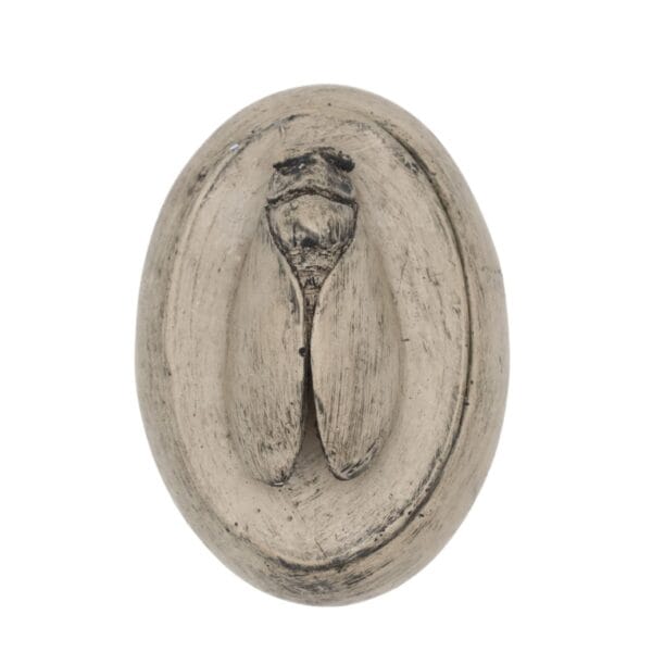 Boite provençale ovale avec cigale pour fleurs séchées.