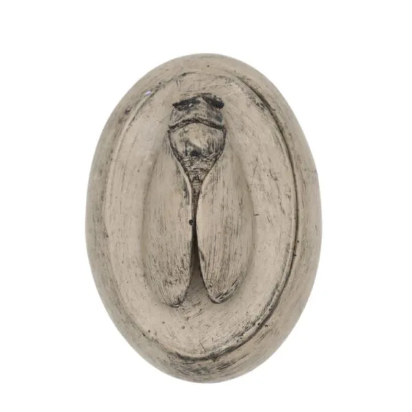 Boite provençale ovale avec cigale pour fleurs séchées.