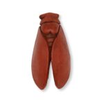 Cigale plâtre peint et ciré 9 cm