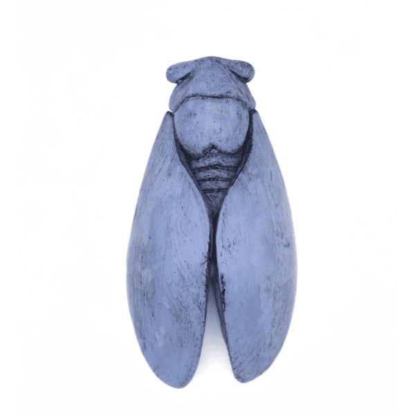 cigale plâtre ciré de décoration type provençale