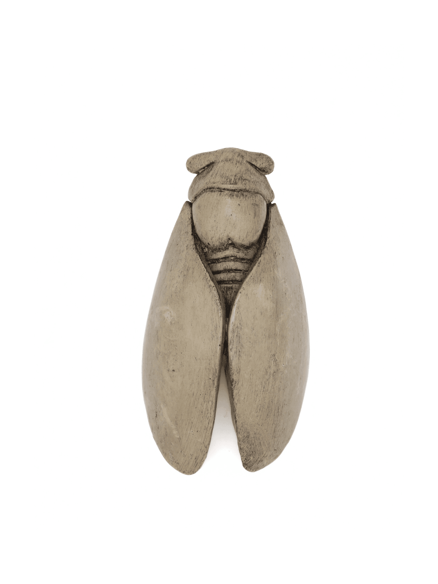 cigale plâtre ciré de décoration type provençale