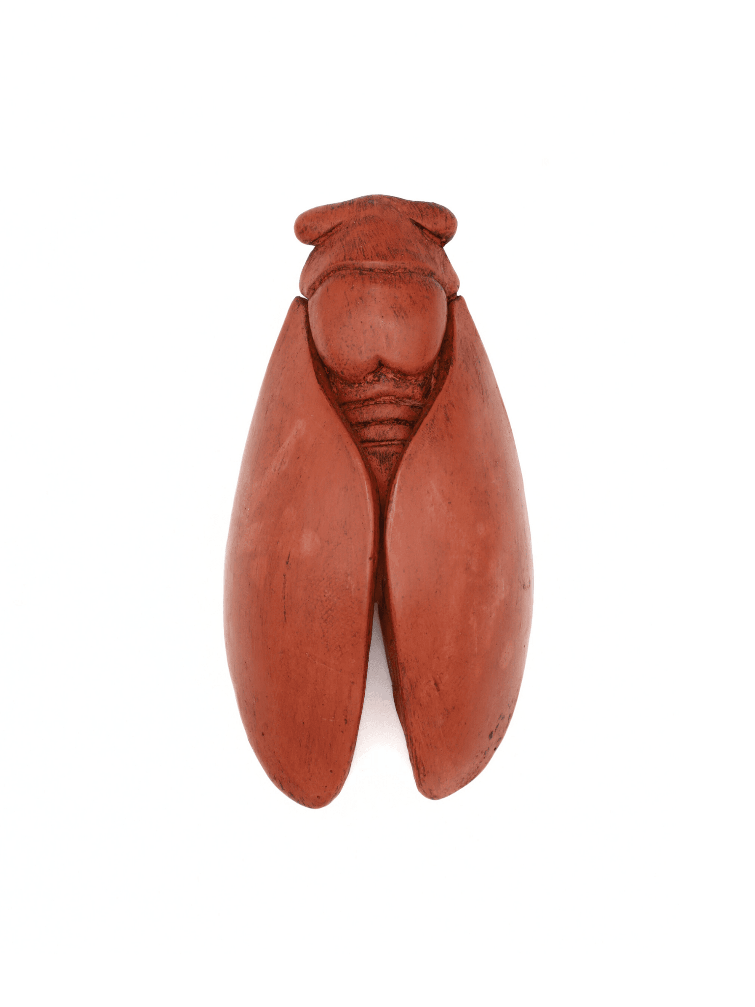 cigale en platre pour décoration mural