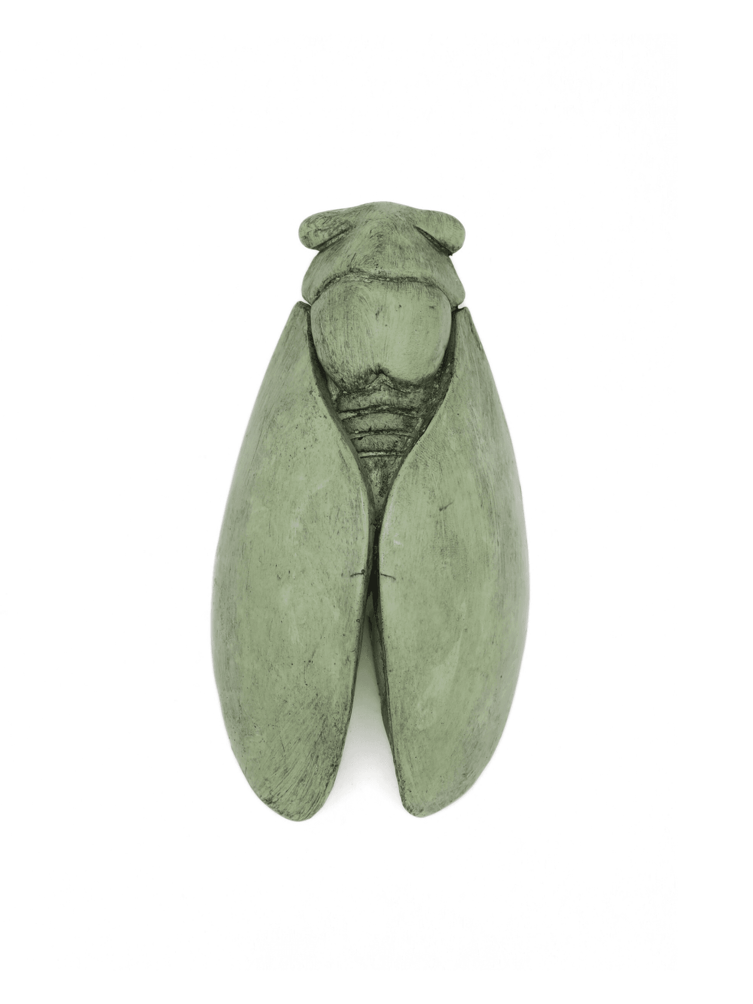 cigale plâtre ciré de décoration type provençale