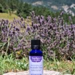 Huile essentielle de lavande fine variété Maillette en Flacon classique