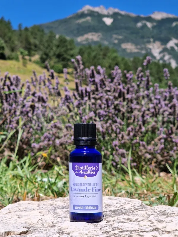Huile essentielle de lavande fine variété Maillette en Flacon classique
