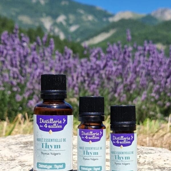 Huile essentielle de thym à thymol Bio