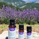 Huile essentielle de thym à linalol Bio