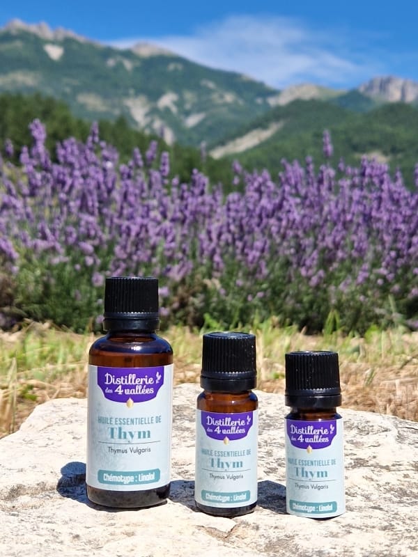 Huile essentielle de thym à linalol Bio
