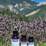 Huile essentielle de romarin à camphre Bio - Codigoutte