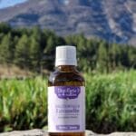 Huile essentielle de lavandin Grosso HVE - Flacon codigoutte