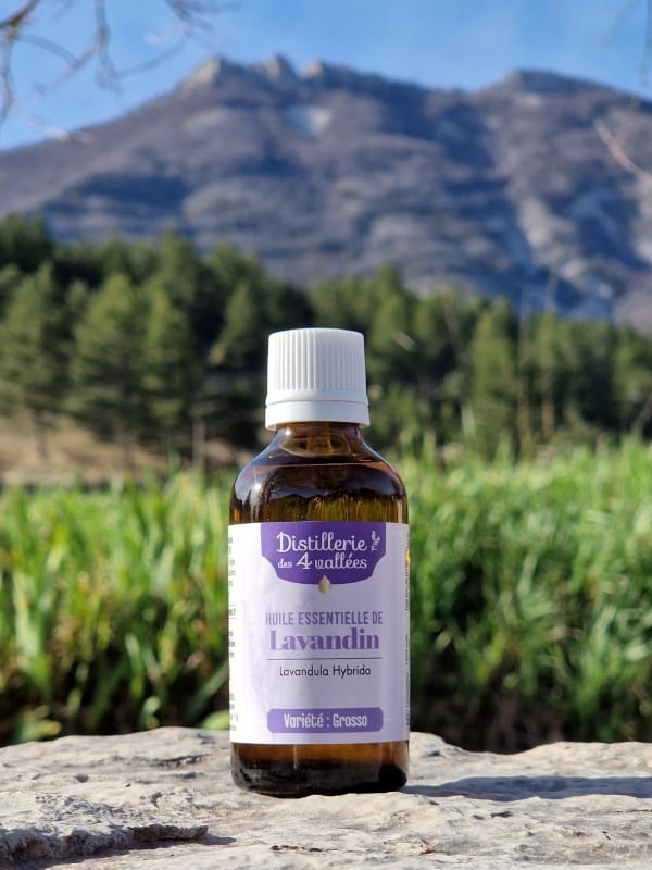 Huile essentielle de lavandin Grosso HVE - Flacon codigoutte