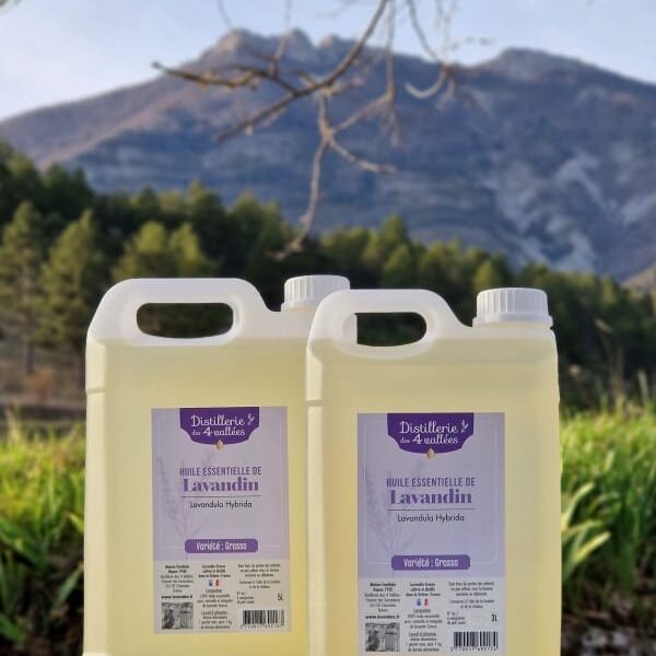 Huile essentielle de lavandin Grosso HVE - En bidon
