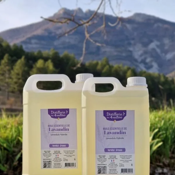 Huile essentielle de lavandin Grosso HVE - En bidon