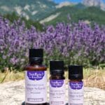 Huile essentielle de sauge sclarée Bio - Flacon codigoutte