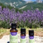 Huile essentielle de laurier noble Bio - Flacon codigoutte