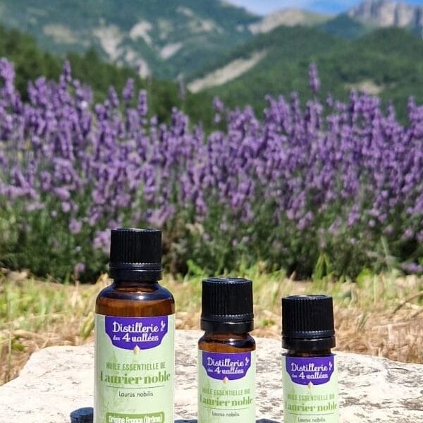 Huile essentielle de laurier noble Bio - Flacon codigoutte