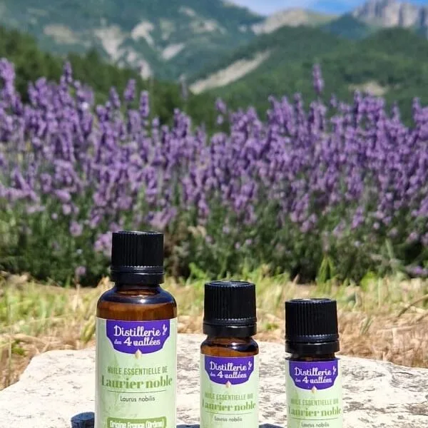 Huile essentielle de laurier noble Bio - Flacon codigoutte
