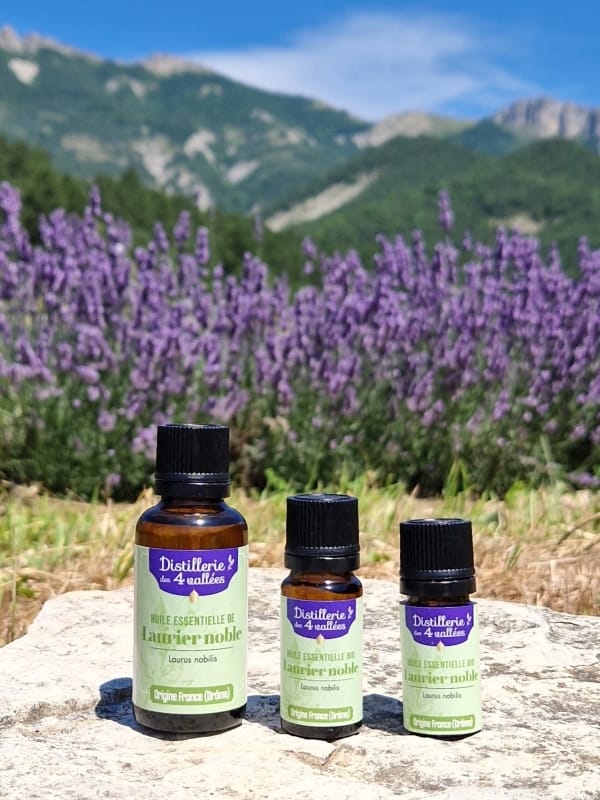 Huile essentielle de laurier noble Bio - Flacon codigoutte
