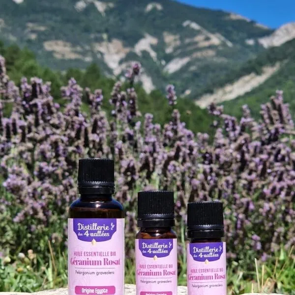 Huile essentielle de géranium rosat Bio - Flacon codigoutte