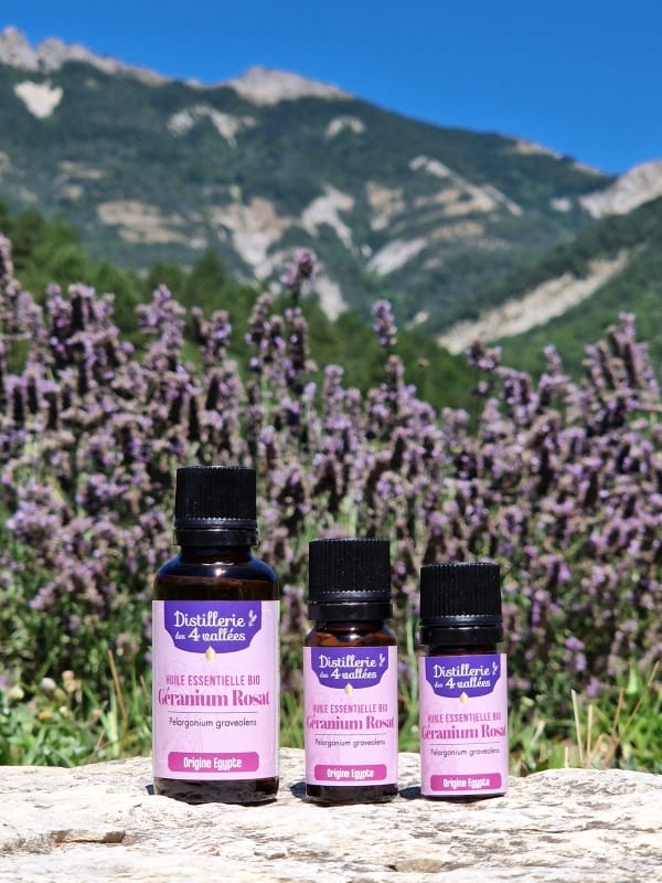 Huile essentielle de géranium rosat Bio - Flacon codigoutte