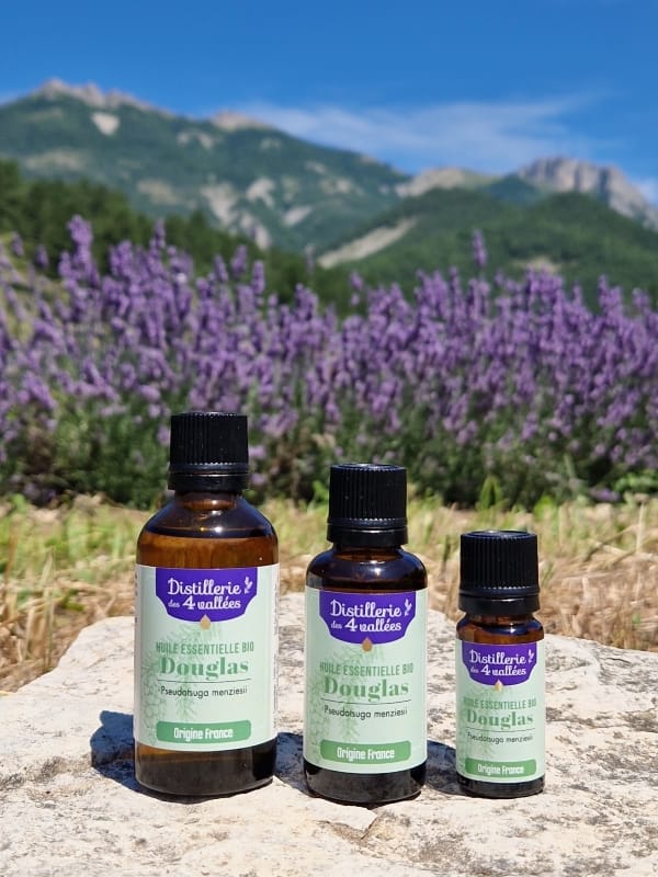 Huile essentielle de douglas BIO - Flacon codigoutte