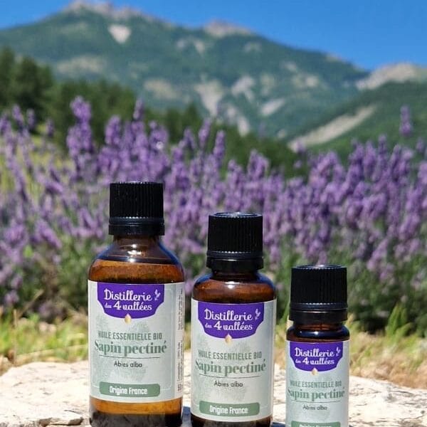 Huile essentielle de sapin pectiné BIO - Flacon codigoutte