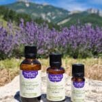 Huile essentielle de mélèze d'Europe Bio - Flacon codigoutte