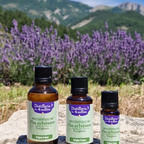 Huile essentielle de pin sylvestre Bio - Flacon codigoutte