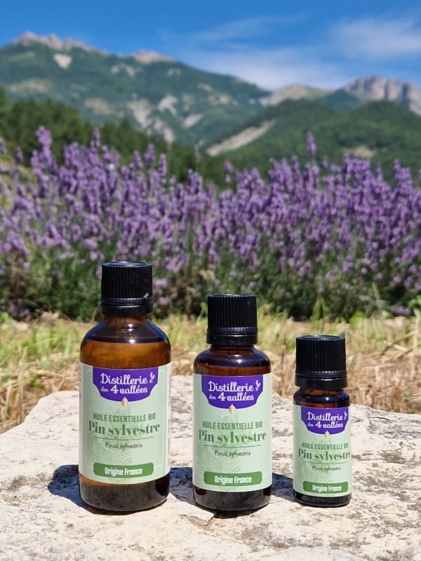 Huile essentielle de pin sylvestre Bio - Flacon codigoutte