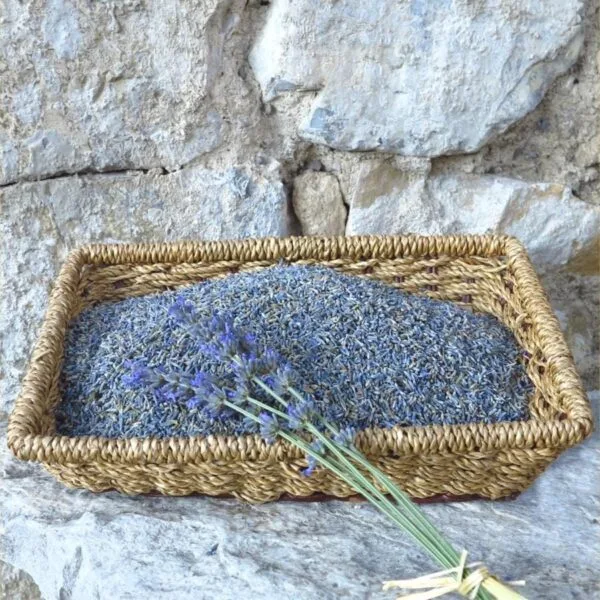 Fleurs de lavande fine séchées Bio