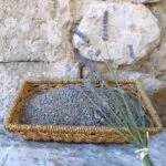 Fleurs de lavandin séchées