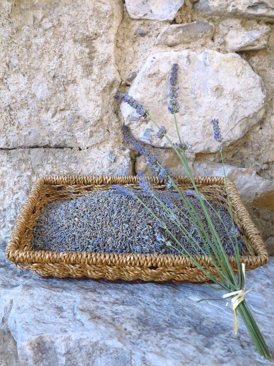 Fleurs de lavandin séchées
