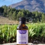 Huile essentielle de lavandin Super Bio - Flacon codigoutte
