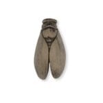 Mini cigale plâtre ciré