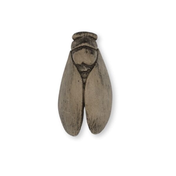 Mini cigale plâtre ciré