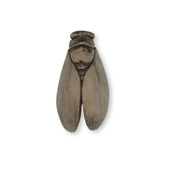 Mini cigale plâtre ciré