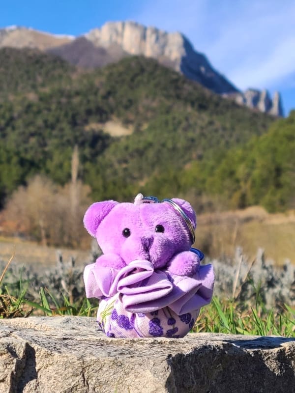 Sachet de fleurs de lavande forme porte-clefs.