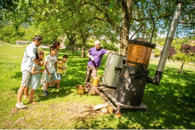 animation de distillation traditionnelle de lavande accessible dès 3 ans