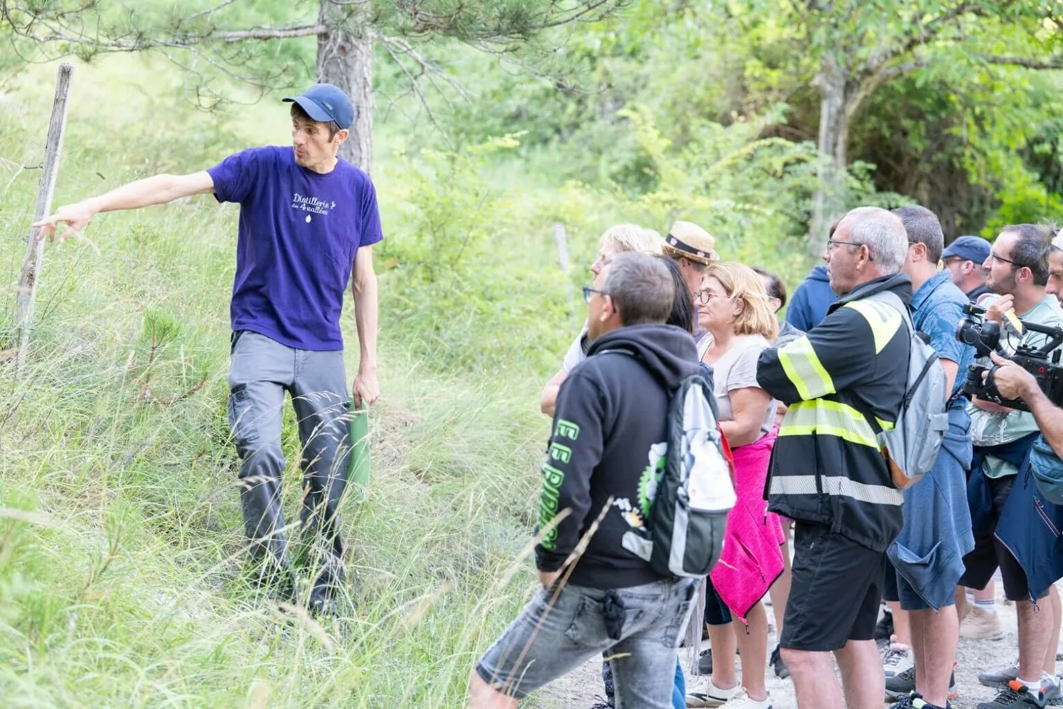 visite guidée des champs de lavande à Chamaloc activité touristique familiale en Drôme