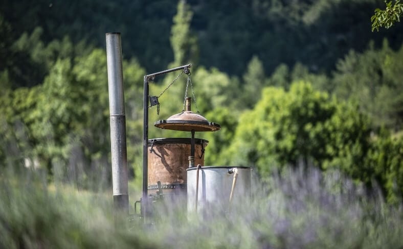 petit alambic ancien de 1930 utilisé pour les animations de distillation de lavande