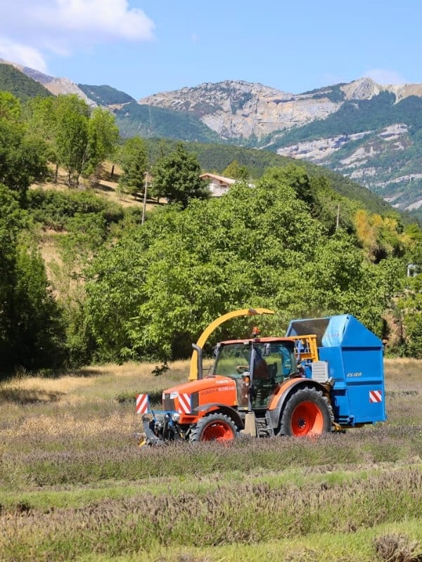ensileuse pour récolte de lavande grande capacité et coupe précise