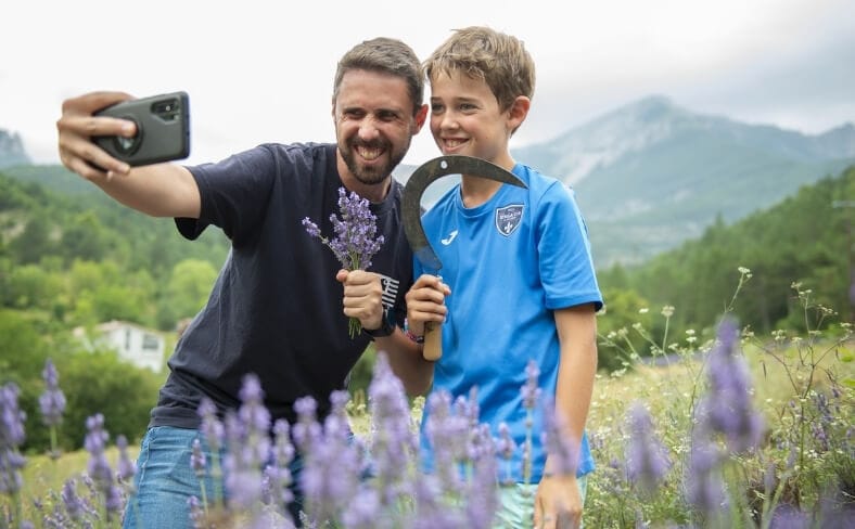 animation familiale de distillation et de coupe de lavande en Drôme