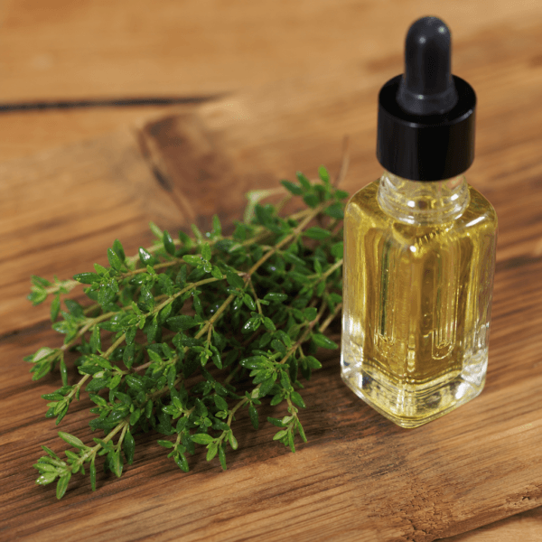Les vertus du thym : un allié naturel pour renforcer vos défenses immunitaires